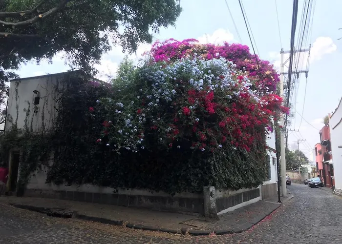 En San Angel Cerca De Itam Unam Bazar Sabado Homestay *