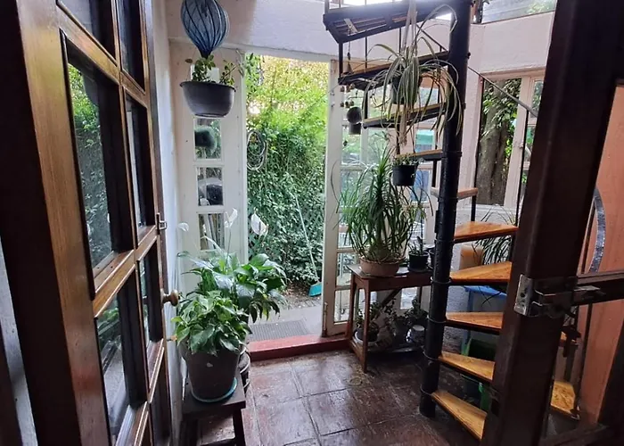 En San Angel Cerca De Itam Unam Bazar Sabado Homestay Mexico City