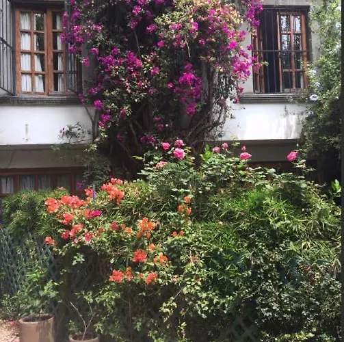En San Angel Cerca De Itam Unam Bazar Sabado Homestay Mexico City