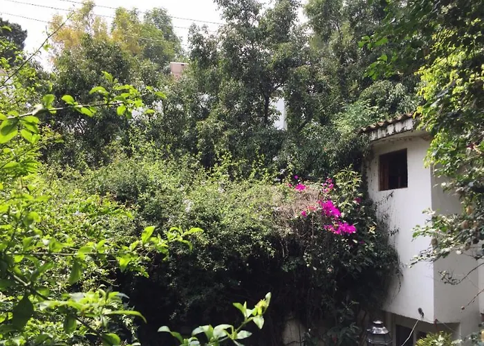 En San Angel Cerca De Itam Unam Bazar Sabado Homestay Mexico City