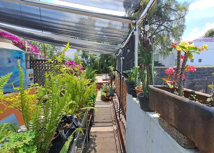 Homestay En San Angel Cerca De Itam Unam Bazar Sabado *